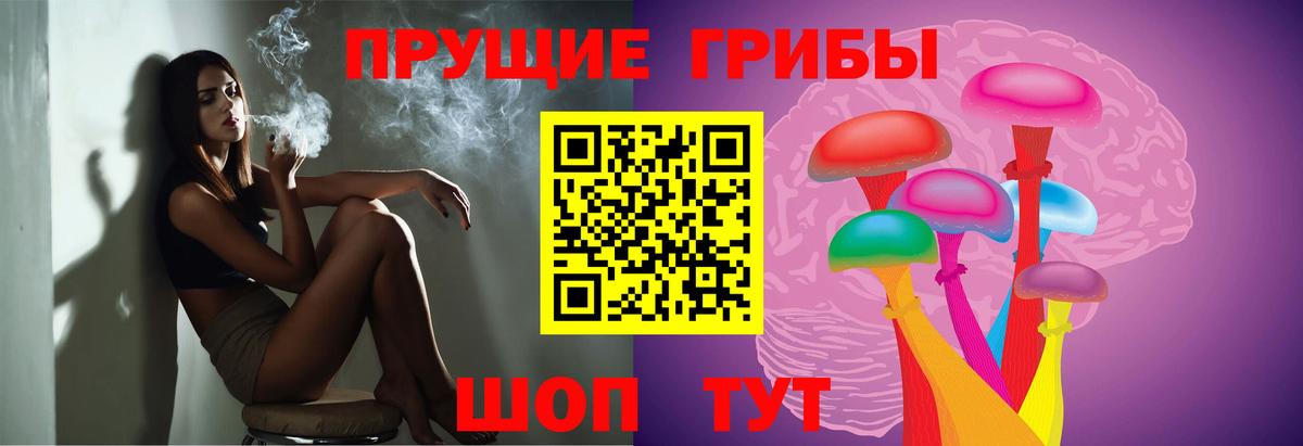 Галлюциногенные грибы MAGIC MUSHROOMS  Вход с VPN  Моздок 